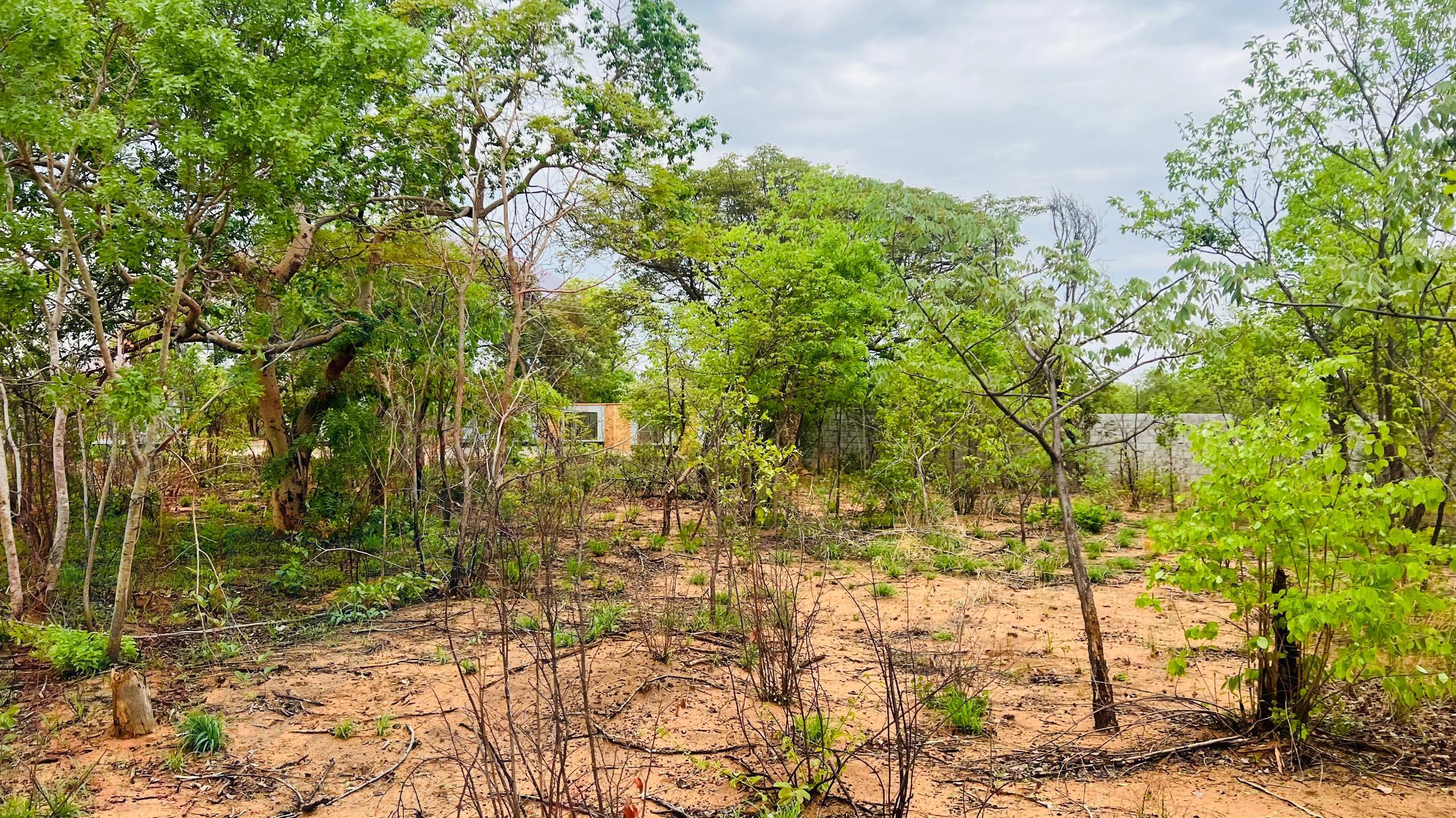 Residential Plot for sale in Livingstone