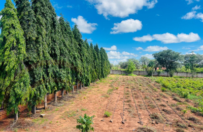 8000 Sq meters Plot for sale off Aiport Road