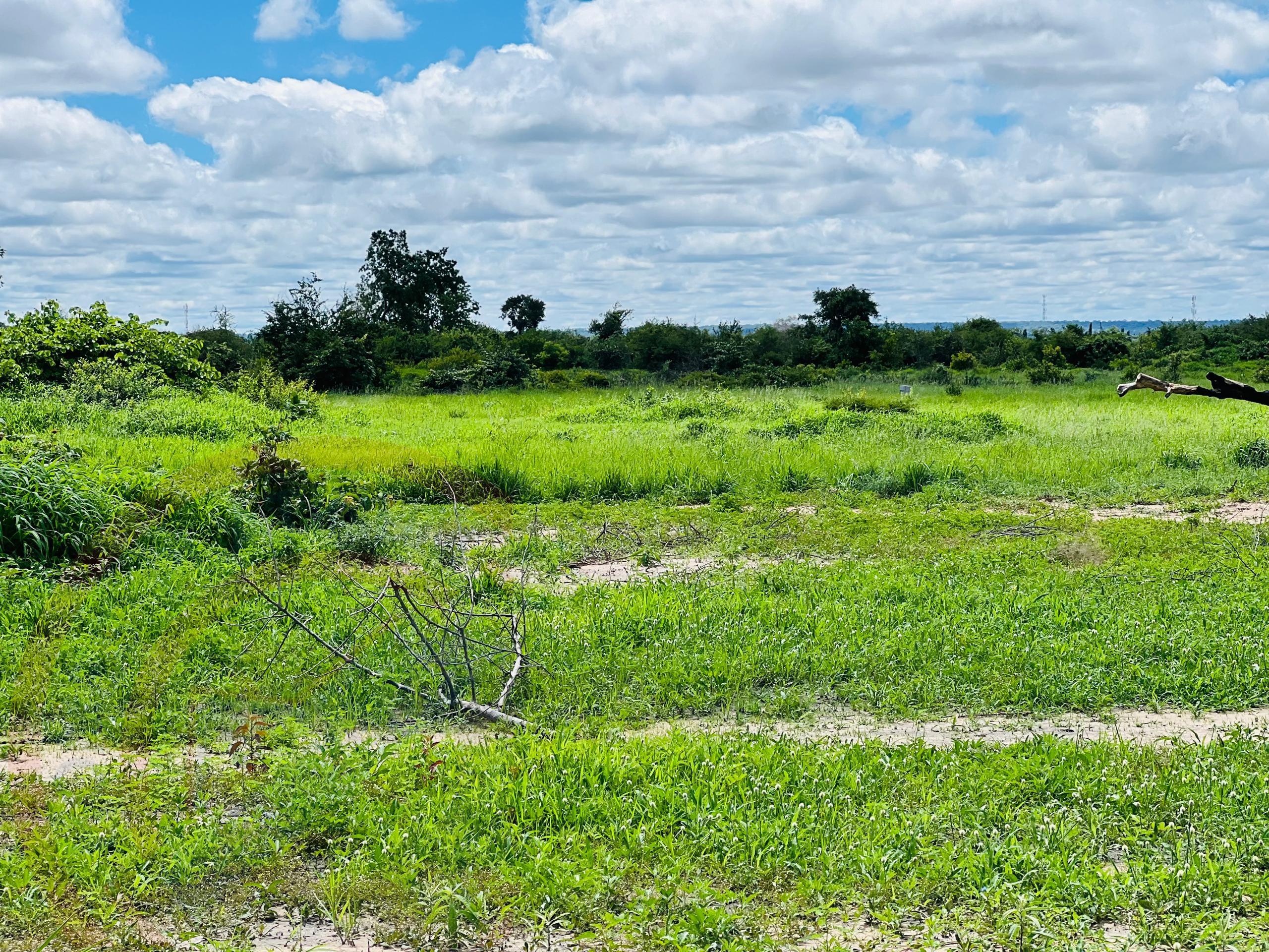 Plots for Sale Off Nakatindi Road Livingstone