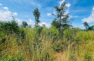 Vacant Residential Plot for sale in Higlands