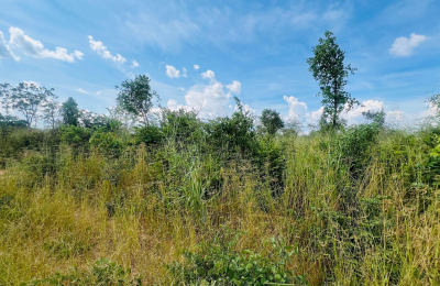 Vacant Residential Plot for sale in Higlands