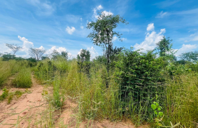 Vacant Residential Plot for sale in Higlands