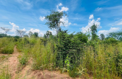 Vacant Residential Plot for sale in Higlands
