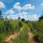 Vacant Residential Plot for sale in Higlands