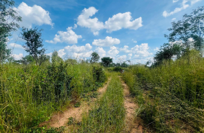 Vacant Residential Plot for sale in Higlands