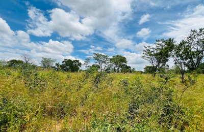 Vacant Residential Stand for sale in Livingstone