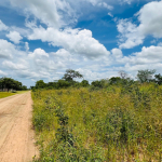 Vacant Residential Stand for sale in Livingstone