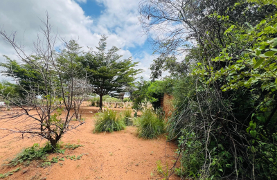 4 bedroom House for Sale in Highlands - Livingstone