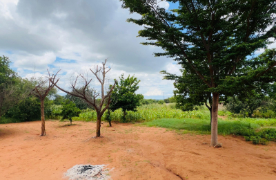 4 bedroom House for Sale in Highlands - Livingstone
