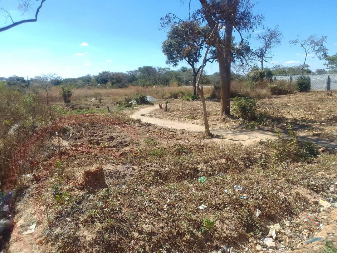 Residential Plot for sale in State Lodge