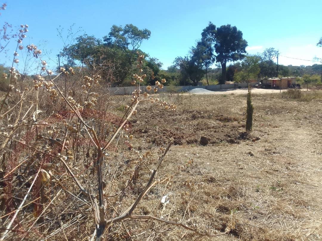 Residential Plot for sale in State Lodge