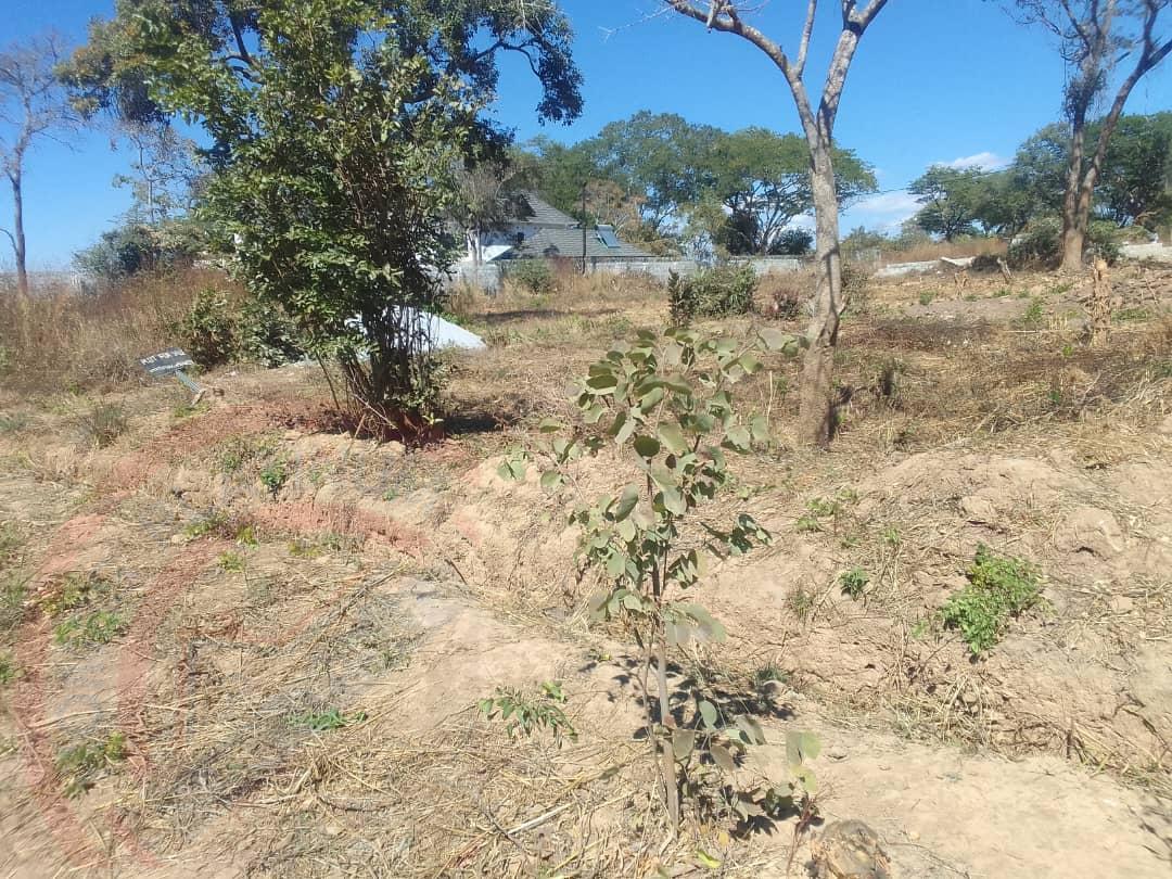 Residential Plot for sale in State Lodge