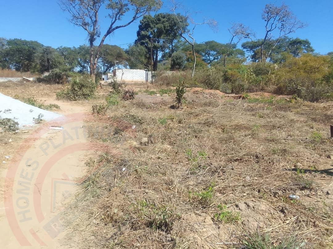 Residential Plot for sale in State Lodge