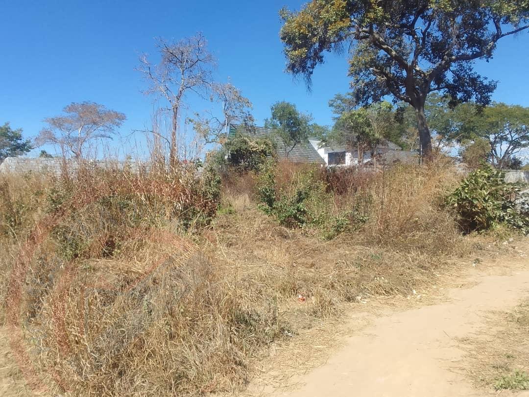 Residential Plot for sale in State Lodge