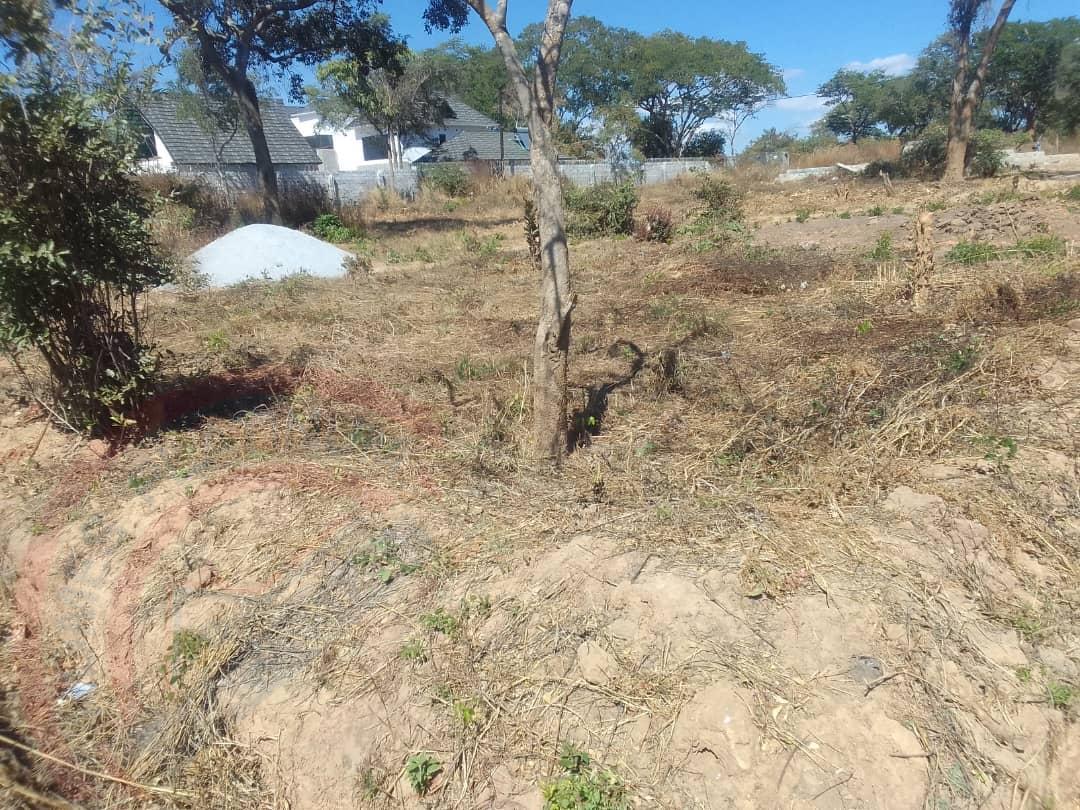 Residential Plot for sale in State Lodge