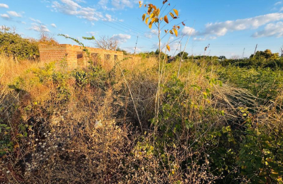 Plot for sale in Highlands Livingstone