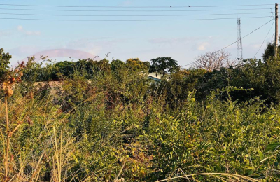 Plot for sale in Highlands Livingstone
