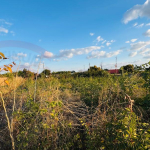 Plot for sale in Highlands Livingstone