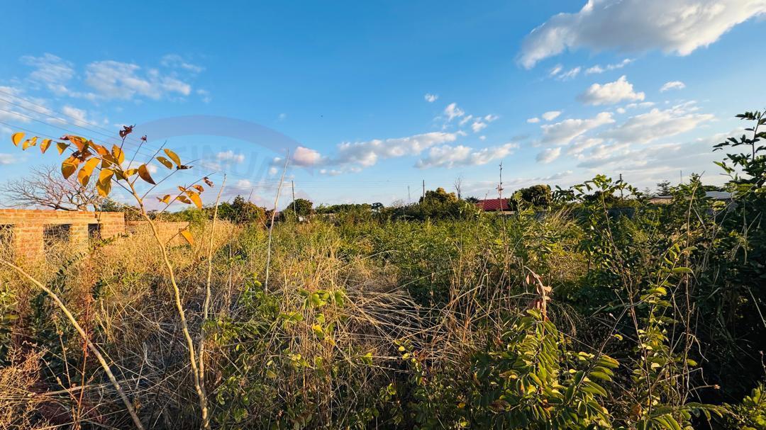 Plot for sale in Highlands Livingstone