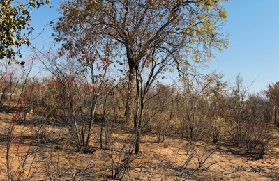 Vacant plot for Sale in Highlands