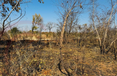 Vacant plot for Sale in Highlands
