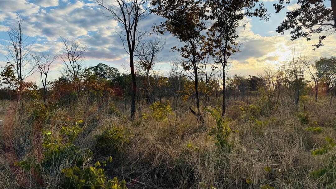 Residential Plots for Sale In Livingstone - Highlands