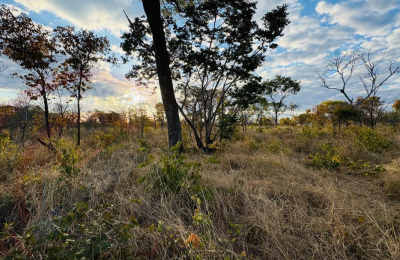Residential Plots for Sale In Livingstone - Highlands