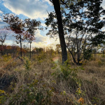 Residential Plots for Sale In Livingstone - Highlands