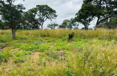 Plots for Sale Along Lusaka Road In Livingstone - Near Toll gate