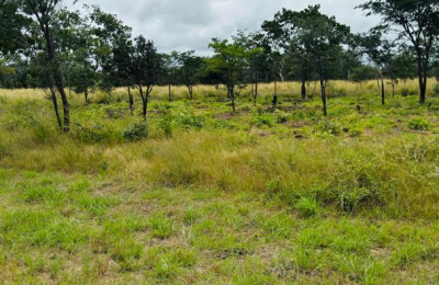 Plots for Sale Along Lusaka Road In Livingstone - Near Toll gate