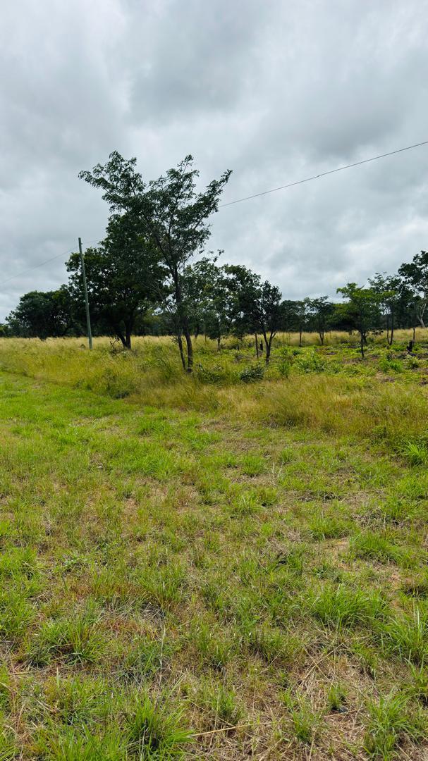Plots for Sale Along Lusaka Road In Livingstone - Near Toll gate