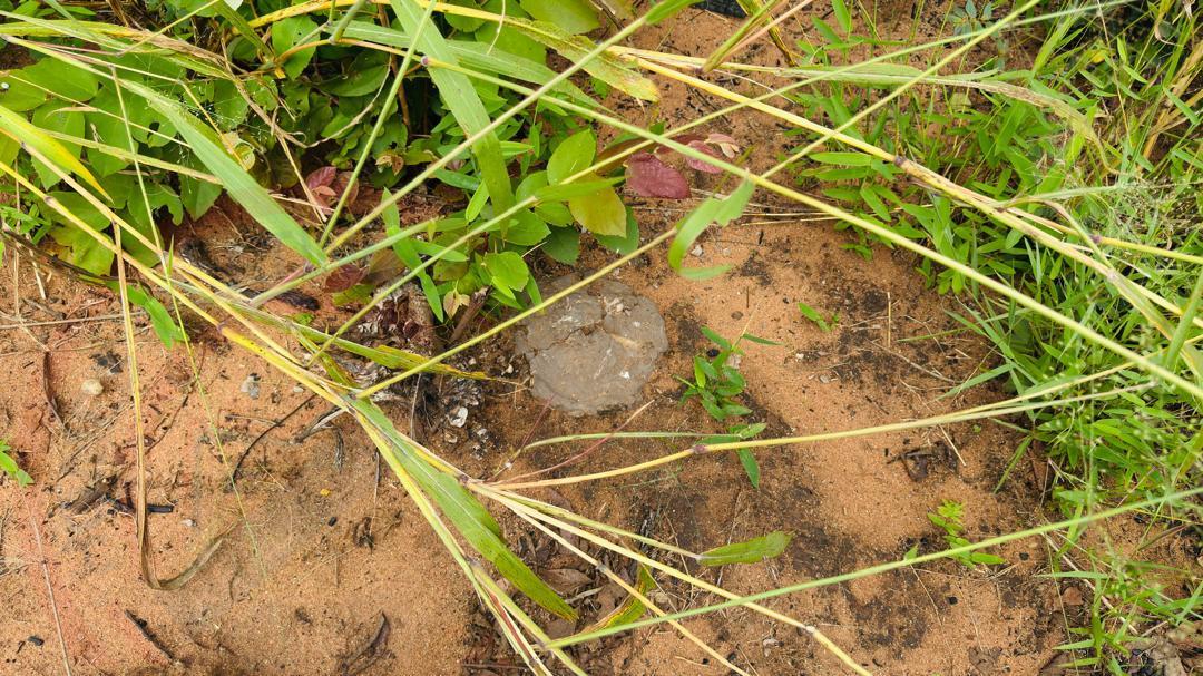 Plots for Sale Along Lusaka Road In Livingstone - Near Toll gate