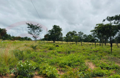 Plots for Sale Along Lusaka Road In Livingstone - Near Toll gate