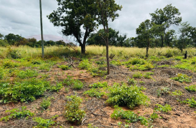 Plots for Sale Along Lusaka Road In Livingstone - Near Toll gate