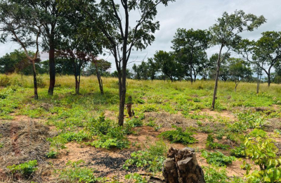 Plots for Sale Along Lusaka Road In Livingstone - Near Toll gate