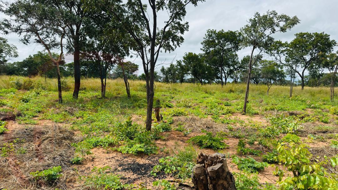 Plots for Sale Along Lusaka Road In Livingstone - Near Toll gate