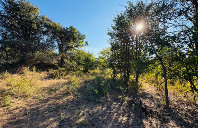 252 Hectares of farm land for sale in Zimba district