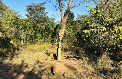 252 Hectares of farm land for sale in Zimba district