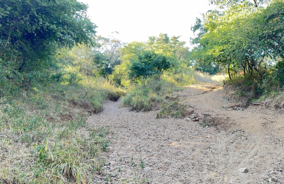 252 Hectares of farm land for sale in Zimba district