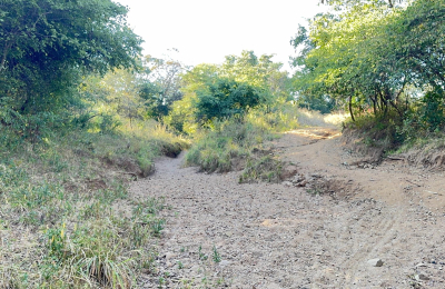 252 Hectares of farm land for sale in Zimba district