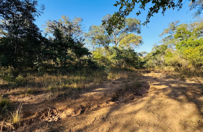 252 Hectares of farm land for sale in Zimba district