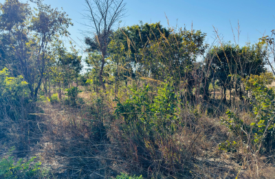 Residential plot for sale with unfinished structure