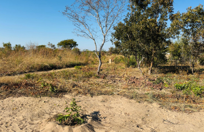 Affordable plot for sale in Highlands