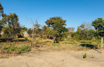 Affordable plot for sale in Highlands