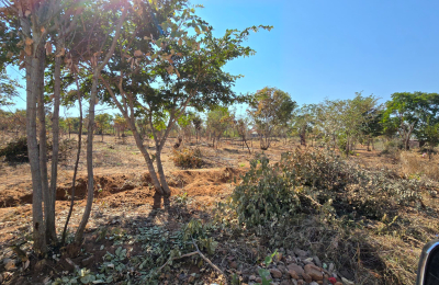 Highlands Phase 2 Plots on Sale Project