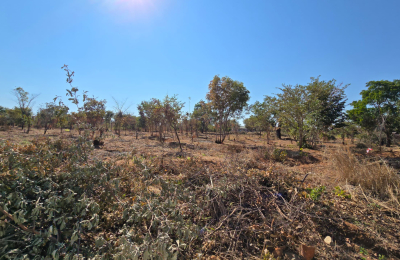 Highlands Phase 2 Plots on Sale Project