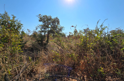 Highlands Phase 2 Plots on Sale Project