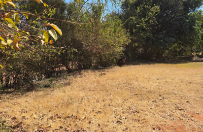 3 bedroom House for Sale in Livingstone
