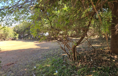 3 bedroom House for Sale in Livingstone
