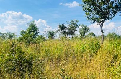 Vacant Residential Plot for sale in Higlands